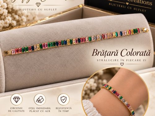Brățară Colorată cu Zirconiu – Oțel Inoxidabil Placat cu Aur – Pt. Ea
